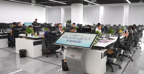 深圳 挖掘數(shù)據(jù)潛能，為企業(yè)打造星級政務(wù)服務(wù)新生態(tài)